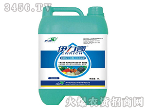 ����ð�����������_ʩ�ι��-������-�Ƶ�