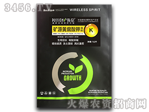 �VԴ�S�����-����