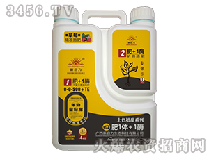 ����Ԫ�صι��0-0-50+TE-�ķ�1�w+1ø-����