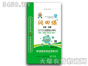 ���ܿ�ጷ�25-13-6-���ﱣ-���