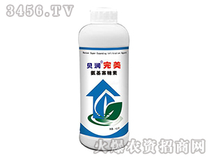 ؐ������-����������-ɭ��