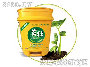 ΢�������-��-�Ԡ��G��