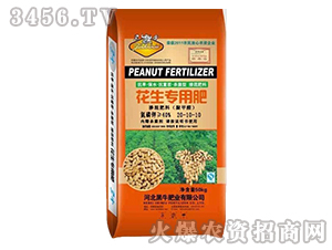 �������Ó������20-10-10-��ţ