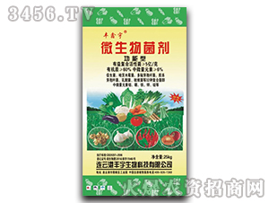 ������΢�������-�S����-�S������