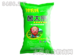 40kg΢�������-��̫��-���r(n��ng)��