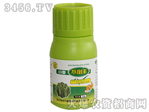 С�������S-�f(w��n)�ڴ�