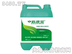 5L�Ǵ���΢��Ԫ��ˮ�ܷ���-�Ƶ�