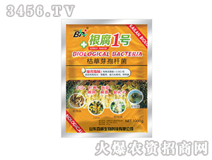 �ݲ�ѿ�ߗU��-����1̖-��(y��u)��