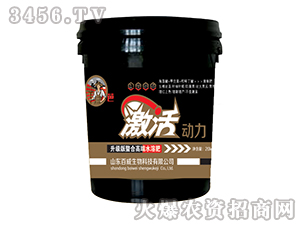 ����(j��)�����ϸ߶�ˮ�ܷ�-�����(d��ng)��-��(y��u)��