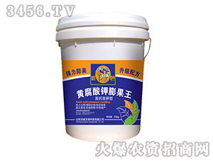 �S����������-��(y��u)��-��΢����