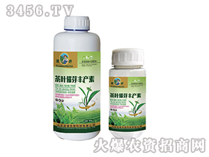 ���~��ѿ�S�a(ch��n)��-��(y��u)��-��������