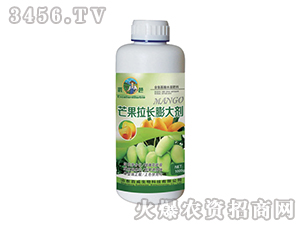 â�����L���-��(y��u)��-��������