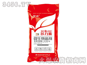 ΢�������-������-�����