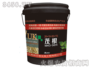 ����Ԫ��ˮ�ܷ���-ï��-�����f(w��n)��