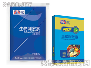 ����̼���-Ӣ����