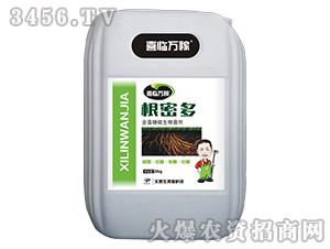 ������΢�������-���ܶ�-������