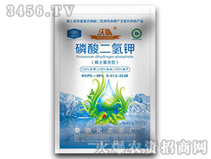 ���(y��ng)��ϵ����������1000g-����-��������