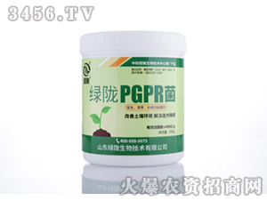 ΢�����-�G�]PGPR��-�G�]