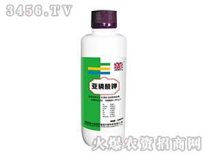 �������-Ӣ��(gu��)�W��ɭ