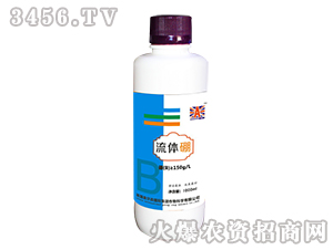 ���w��-Ӣ��(gu��)�W��ɭ