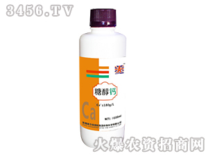 �Ǵ��}-Ӣ��(gu��)�W��ɭ