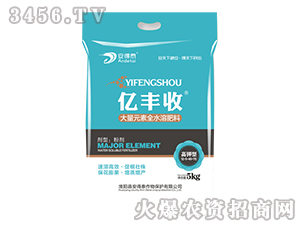 ����ʹ���Ԫ��ȫˮ�ܷ���-�Ǵ��V-����̩