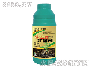 �����������焩-���_�ˠ�-�����_�r(n��ng)