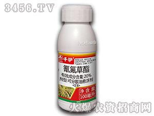 20%�������-ǧ�P-�к����_(d��)