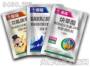 С������݄��M�����b-ɵ��-�к����_