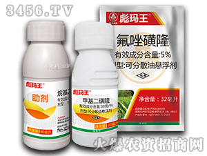 С������݄��M��-�묔��-�к����_