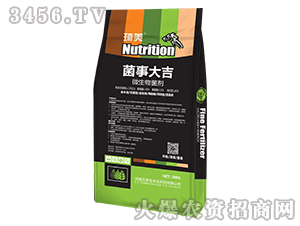 ΢�������-���´�-������