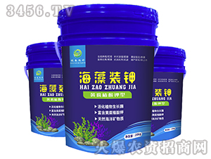 �����b�-��(qi��ng)ɭ�r(n��ng)��