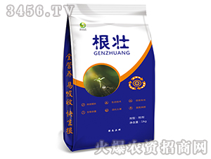 ����-��(qi��ng)ɭ�r(n��ng)��