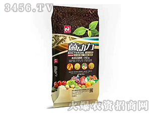 �����ЙC(j��)����-����(d��ng)��-����