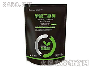 ��������-����