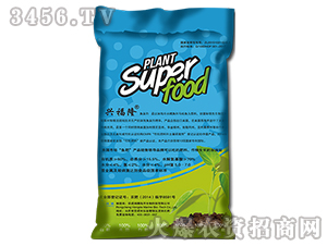 �~���׷���-�d��¡-����