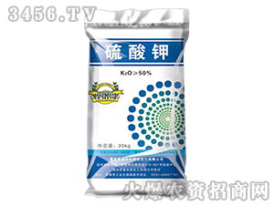 �����-��Ȫ����