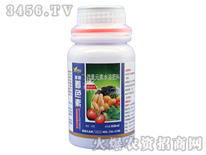 ������ɫ��-�ڼژ�