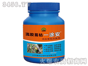 ���z����ͿĨ��-���z����һͿ��-���r(n��ng)����