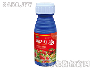 50mlħ���t��-���r(n��ng)����