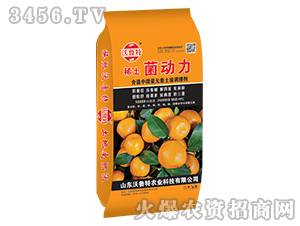 ϡ������(d��ng)�������ӌ�(zhu��n)�ã�-������