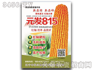 Ԫ�l(f��)815-���׷N��-�п�����