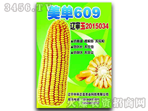 ����609-���׷N��-�п�����