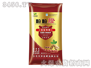 ��(f��)�Ϸ��ϣ��������ã�15-15-10-����Ć-�A�л���