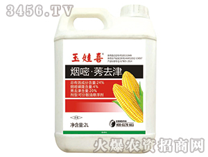 24%���ס�ݬȥ��2L��-��ϲ��-ͬ�S����