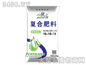 ���������ͺϷ���19-19-19-����Ԫ-��W