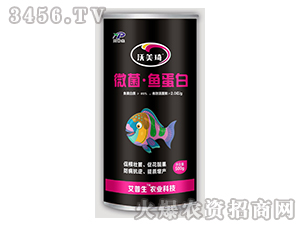 ΢�����~����-������-������