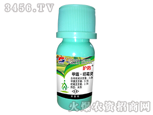 3%��˪���fù�`ˮ��-�o(h��)��-�L(zh��ng)�p�r(n��ng)ˎ