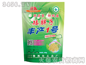 ��ꖌ�ϵ�иߝ�ȶ๦���������-�����ӡ��S�a(ch��n)1̖(h��o)-��������