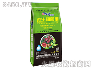 ΢�������-����